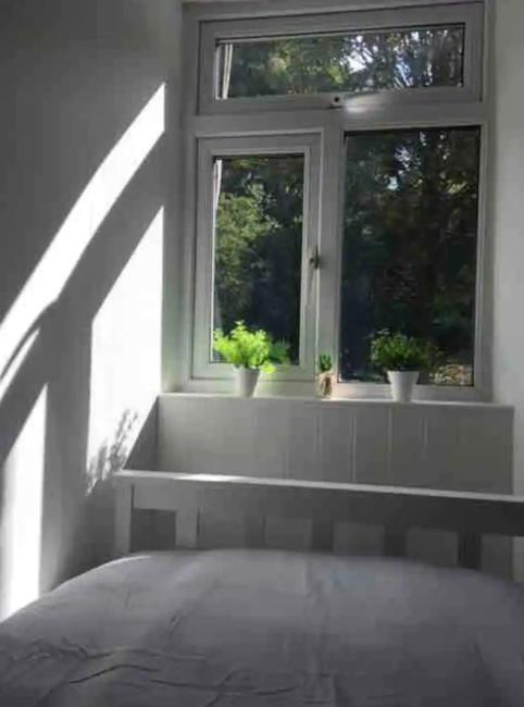 A Woodland Retreat - Apartment In Converted Mill Helston Extérieur photo